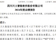 川大智胜：2024年预计亏损4900万元-6300万元 同比减亏63.30%-74.46% 公司股票可能被实施退市风险警示