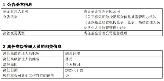 任职不足2年 蜂巢基金副总经理林勇离任