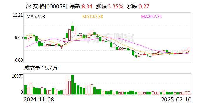 深赛格：董事长张良因工作安排原因辞职