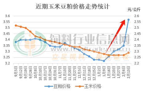 豆粕大涨！国内畜禽养殖即将全面亏损？